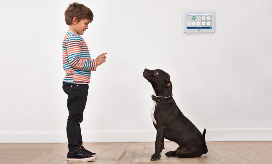 Sacaton security systems